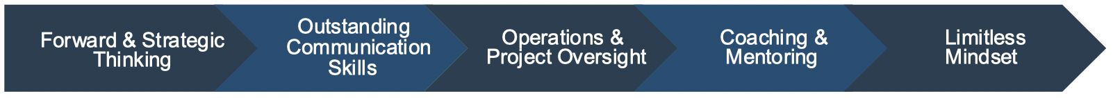 Dynamic Leadership Approach